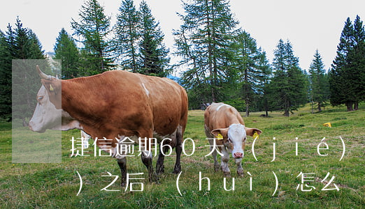 捷信逾期60天節(jié)點(diǎn)之后會(huì)怎么樣-捷信逾期600天
