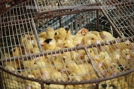 捷信逾期6年還能起訴嗎(捷信逾期2年現(xiàn)在起訴我是不是要開(kāi)庭)