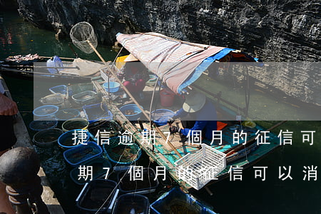 捷信逾期7個月的征信可以消除嗎-捷信逾期7個月的征信可以消除嗎怎么辦