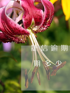 捷信逾期7千會(huì)來家里嗎(捷信逾期多少時(shí)間會(huì)給家里朋友打電話)