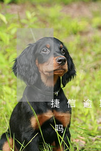捷信逾期7天上征信吗（捷信逾期7天上征信吗）