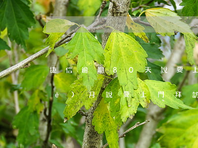 捷信逾期80天說要上門(捷信逾期半個(gè)月說要上門拜訪是真的嗎)