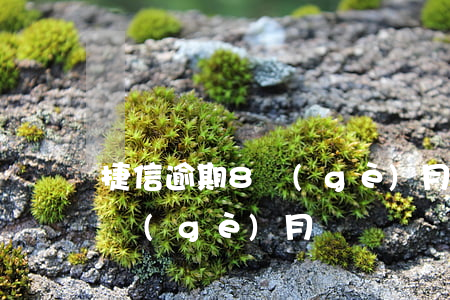 捷信逾期8個(gè)月沒錢還(捷信逾期8個(gè)月沒錢還)