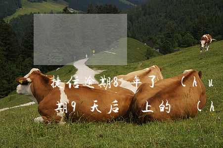 捷信逾期8年了會(huì)怎么樣(捷信逾期9天后還上的,會(huì)有什么影響嗎)