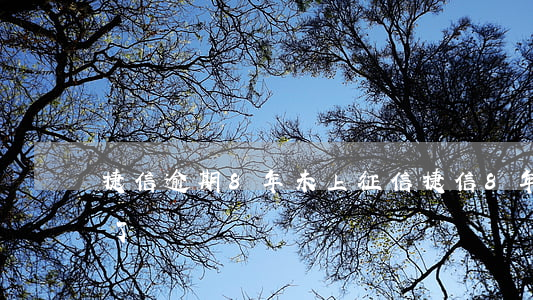 捷信逾期8年未上征信(捷信8年沒還過時效了嗎)