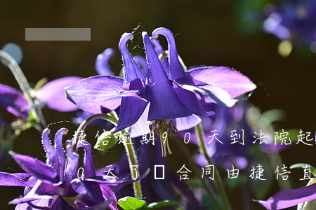 捷信逾期90天到法院起訴-捷信逾期100天了,說合同由捷信直接處理