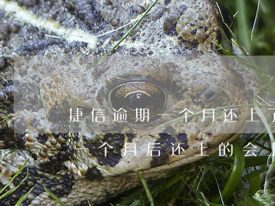 捷信逾期一个月还上了上征信吗-捷信逾期一个月后还上的,会上征信吗