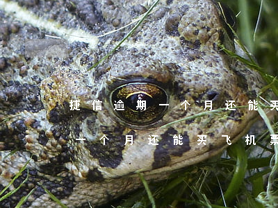 捷信逾期一个月还能买飞机票吗-捷信逾期一个月还能买飞机票吗知乎