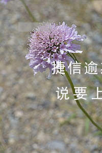 捷信逾期一个约会上门吗(捷信逾期了一个月说要上门解决是真的吗)