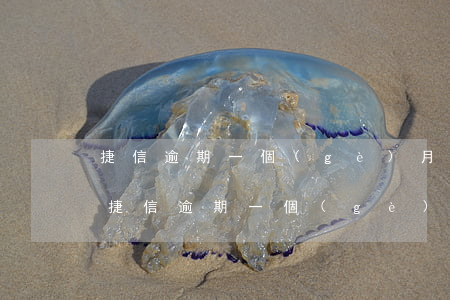 捷信逾期一個(gè)月了還可以在借嗎-捷信逾期一個(gè)月了還可以在借嗎怎么辦