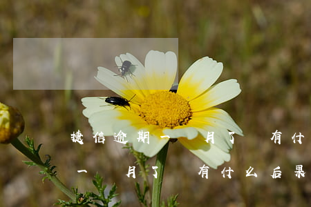 捷信逾期一個月了會有什么后果-捷信逾期一個月了會有什么后果嗎
