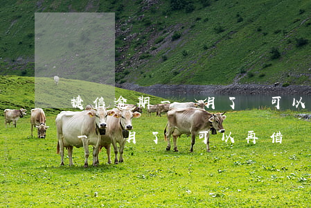 捷信逾期一個月了還可以再借嗎-捷信逾期一個月了還可以再借嗎