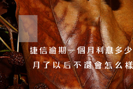 捷信逾期一個月利息多少(捷信已經逾期1個月了以后不還會怎么樣)