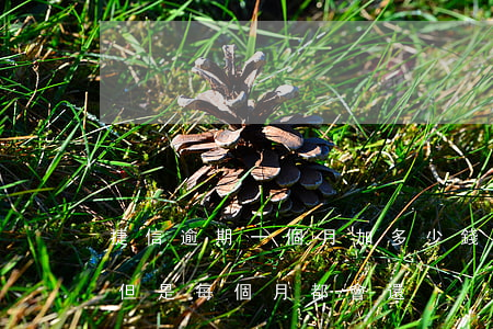 捷信逾期一個月加多少錢(捷信每個月都逾期但是每個月都會還)