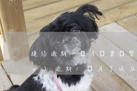 捷信逾期一個月說要報警(捷信已經(jīng)逾期1個月了以后不還會怎么樣)