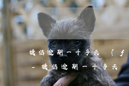 捷信逾期一千多天發(fā)短信說還本金-捷信逾期一千多天發(fā)短信說還本金是真的嗎