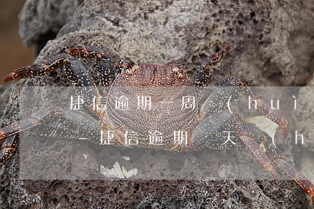 捷信逾期一周會(huì)給家里打電話嗎-捷信逾期幾天會(huì)給家人朋友打電話嗎?