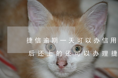 捷信逾期一天可以办信用卡吗(捷信逾期一天后还上的,还可以办理捷信分期吗)