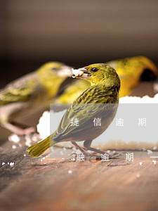 捷信逾期一天會(huì)上征信嗎(捷信金融逾期一天后還款會(huì)上征信嗎)