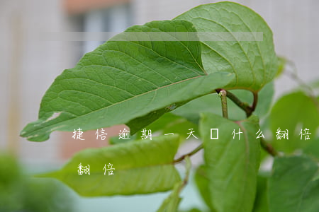 捷信逾期一天為什么翻倍(捷信貸款超過一天翻倍)