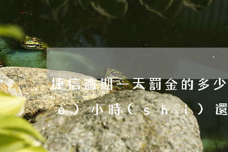 捷信逾期一天罰金的多少(捷信逾期一個(gè)小時(shí)還上的,會(huì)有什么影響嗎)