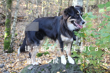 捷信逾期一年主動(dòng)還清了(捷信拖欠一段時(shí)間一次還清能撤銷(xiāo)征信嗎)