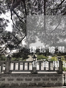 捷信逾期一年了怎么協(xié)商還款(捷信逾期協(xié)商還款可以消除征信逾期嗎)