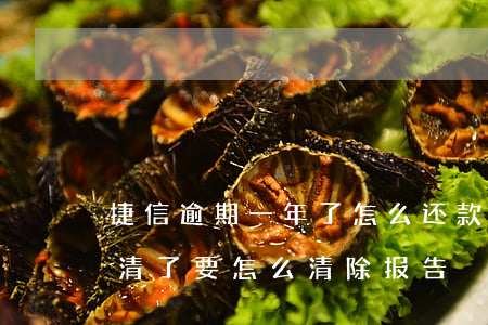 捷信逾期一年了怎么还款(捷信逾期一年多还清了要怎么清除报告)