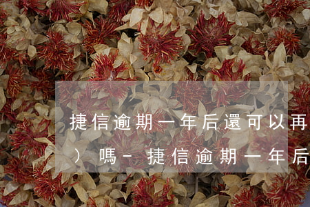捷信逾期一年后還可以再次申請(qǐng)嗎-捷信逾期一年后還可以再次申請(qǐng)嗎