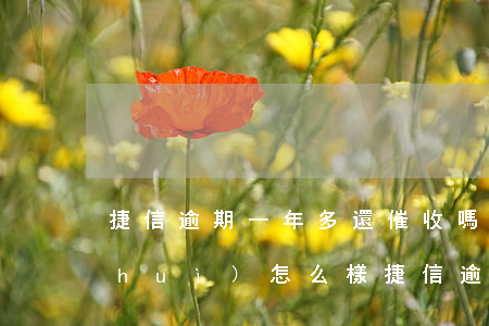 捷信逾期一年多還催收嗎(捷信逾期不還會(huì)怎么樣?捷信逾期后果很嚴(yán)重嗎?)