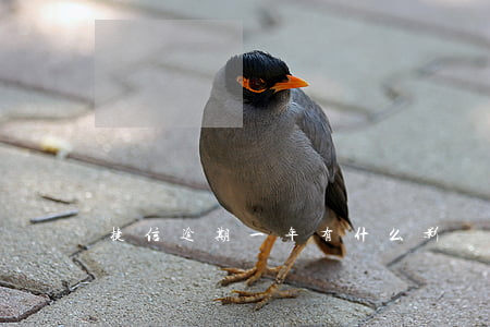 捷信逾期一年有什么影響