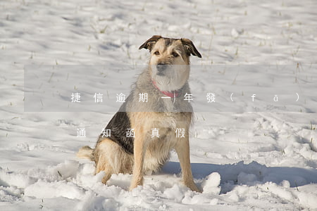 捷信逾期一年發(fā)通告函了(捷信訴前通知函真假)