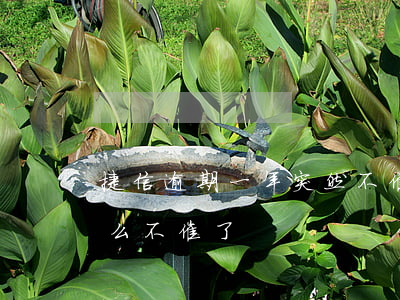 捷信逾期一年突然不催了(捷信一年沒還為什么不催了)