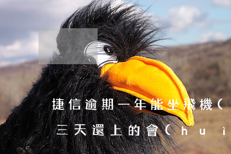 捷信逾期一年能坐飛機(jī)嗎(捷信逾期三天還上的,會(huì)有什么影響嗎)