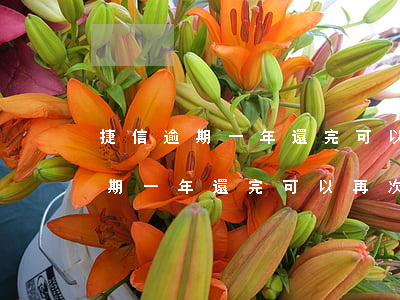 捷信逾期一年還完可以再次申請嗎-捷信逾期一年還完可以再次申請嗎