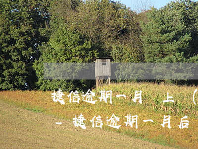 捷信逾期一月會上報(bào)影響征信么-捷信逾期一月后還上的,會有什么影響嗎