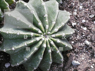 捷信逾期一次之后結(jié)清了(捷信逾期一個星期結(jié)清了,以后還辦可以嗎)