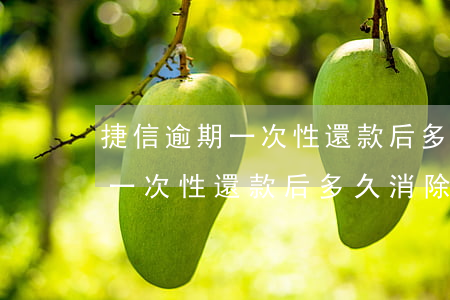 捷信逾期一次性還款后多久消除-捷信逾期一次性還款后多久消除記錄