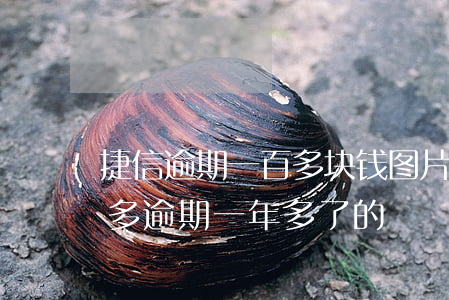 捷信逾期一百多块钱图片(有没有欠捷信六万多逾期一年多了的)