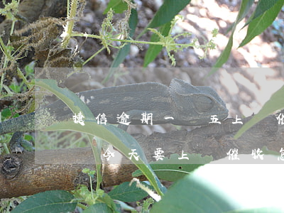 捷信逾期一萬五上門催款(捷信逾期收到短信說今天要上門催收怎么辦)