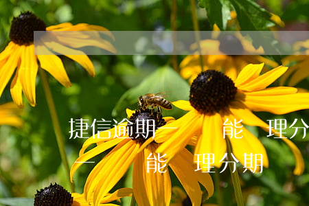 捷信逾期一萬還能辦理分期還嗎-捷信逾期一萬還能辦理分期還嗎安全嗎