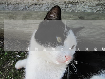 捷信逾期七八天算逾期嗎(捷信息逾期會(huì)怎么樣)