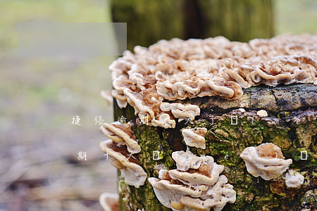捷信逾期七天了沒(méi)有催收(捷信逾期十天沒(méi)還有人找家里來(lái)了怎么辦)