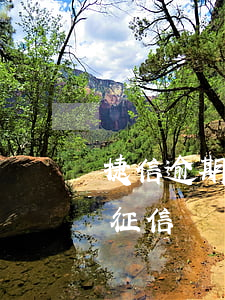 捷信逾期七天后上征信嗎(捷信息逾期多久上征信)