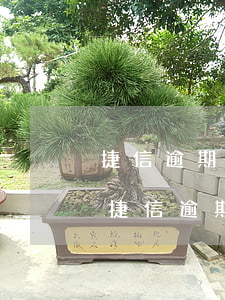 捷信逾期三個(gè)月可以辦信用卡嗎-捷信逾期三個(gè)月可以辦信用卡嗎