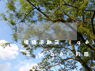 捷信逾期三個(gè)月后還上的(捷信逾期三個(gè)月后還上的,還了還可以再分期嗎)