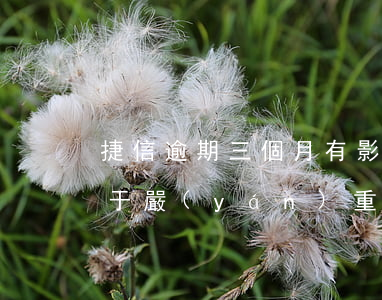 捷信逾期三個月有影響嗎(捷信逾期四個月屬于嚴(yán)重的還是不嚴(yán)重的)