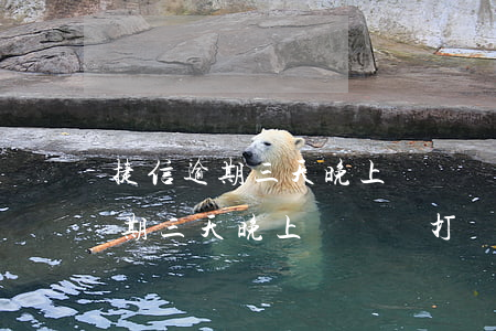 捷信逾期三天晚上還會給打電話么-捷信逾期三天晚上還會給打電話么嗎