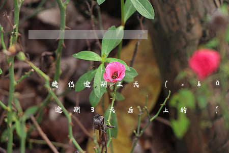 捷信逾期三天產(chǎn)生遲納金(捷信逾期3天后還上的,會(huì)有什么影響嗎)