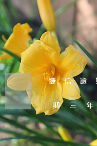 捷信逾期三年了发什么律师函给你-捷信逾期三年了发什么律师函给你呢